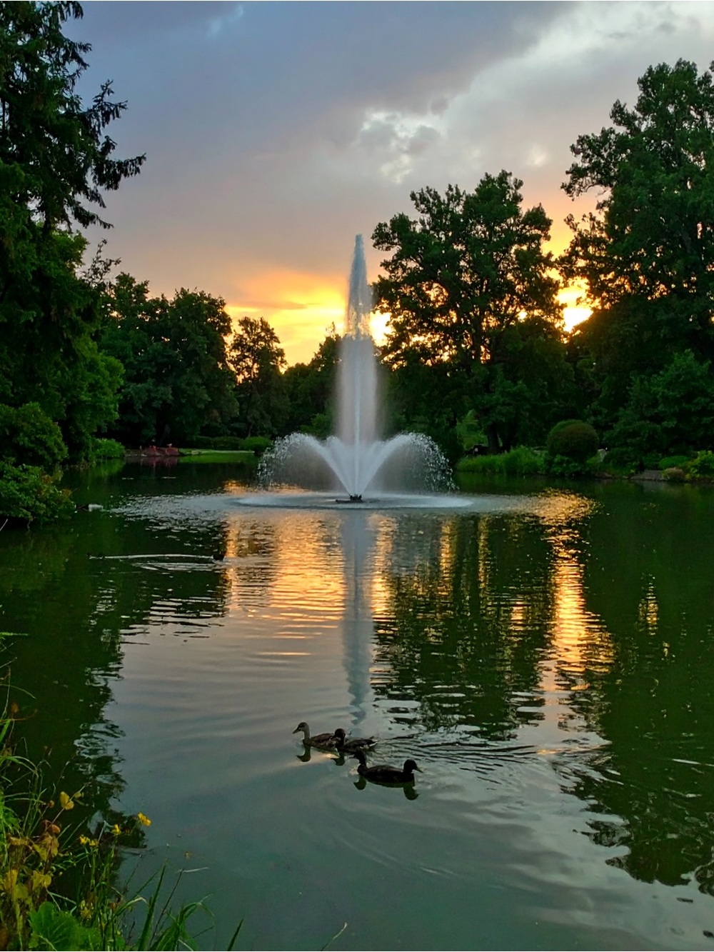 Tranquil Green Fountain Lakeside Photo Print